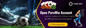 What are the steps to begin playing at Purewin?